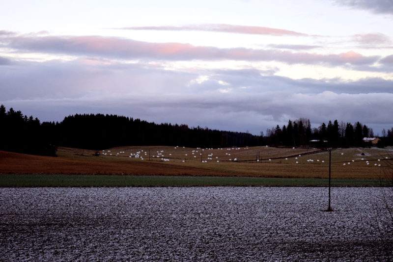 SLC - Vinter Balar Landskap 2015 Webb