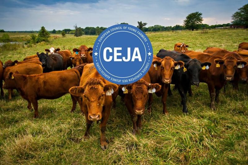 SLC - Ceja Bild Med Notdjur