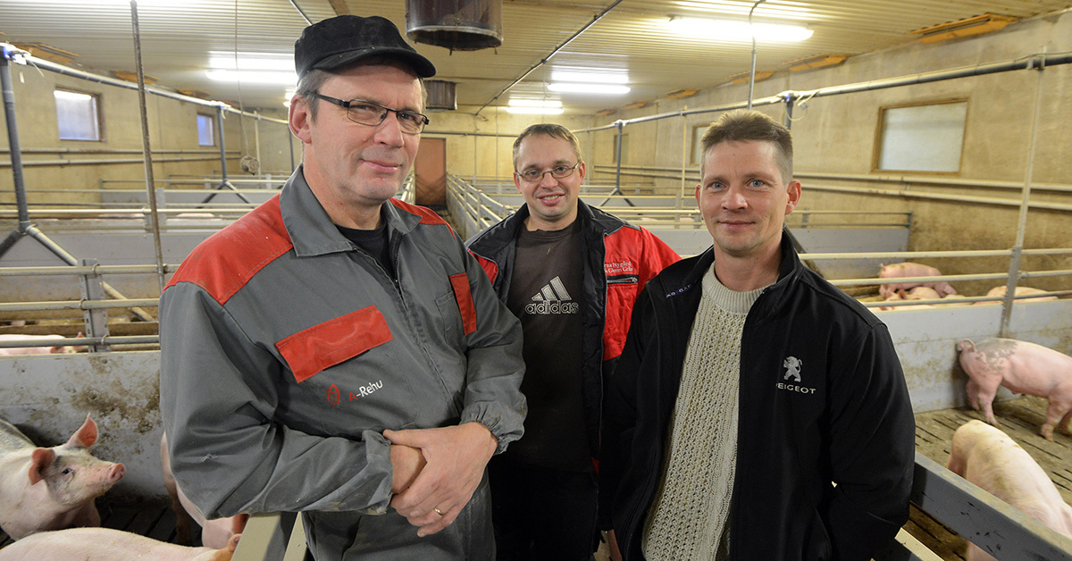 Johan Backlund och Johan Häggblom valde att samarbeta och äger Nassab gård tillsammans. Enligt Backlund har finländska grisproducenter mycket att vinna på att samarbeta mera