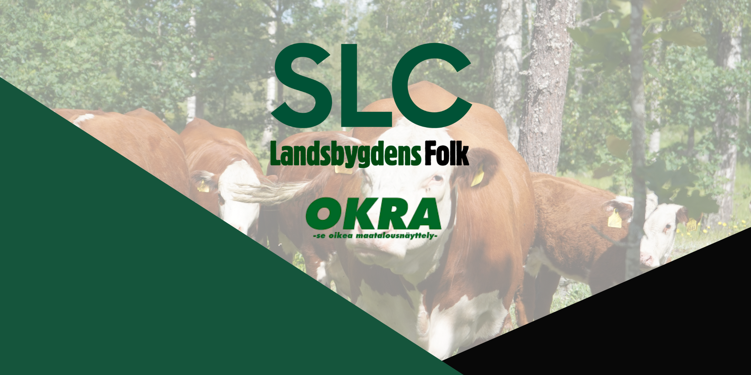 SLC - OKRA Banner