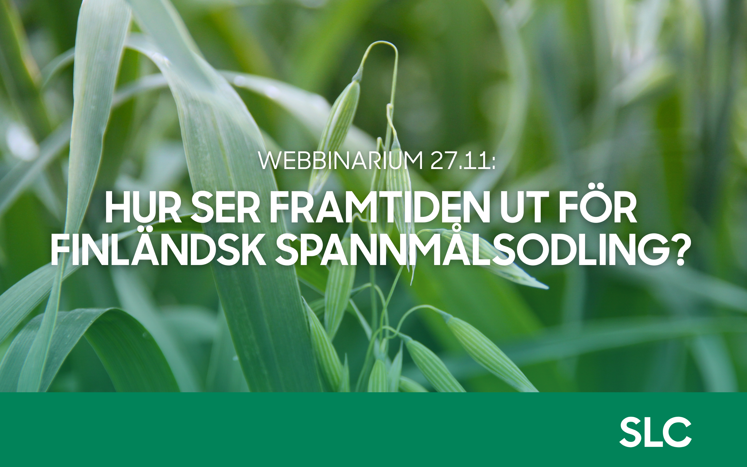 SLC - SPANNMALSWEBBINARIE 4