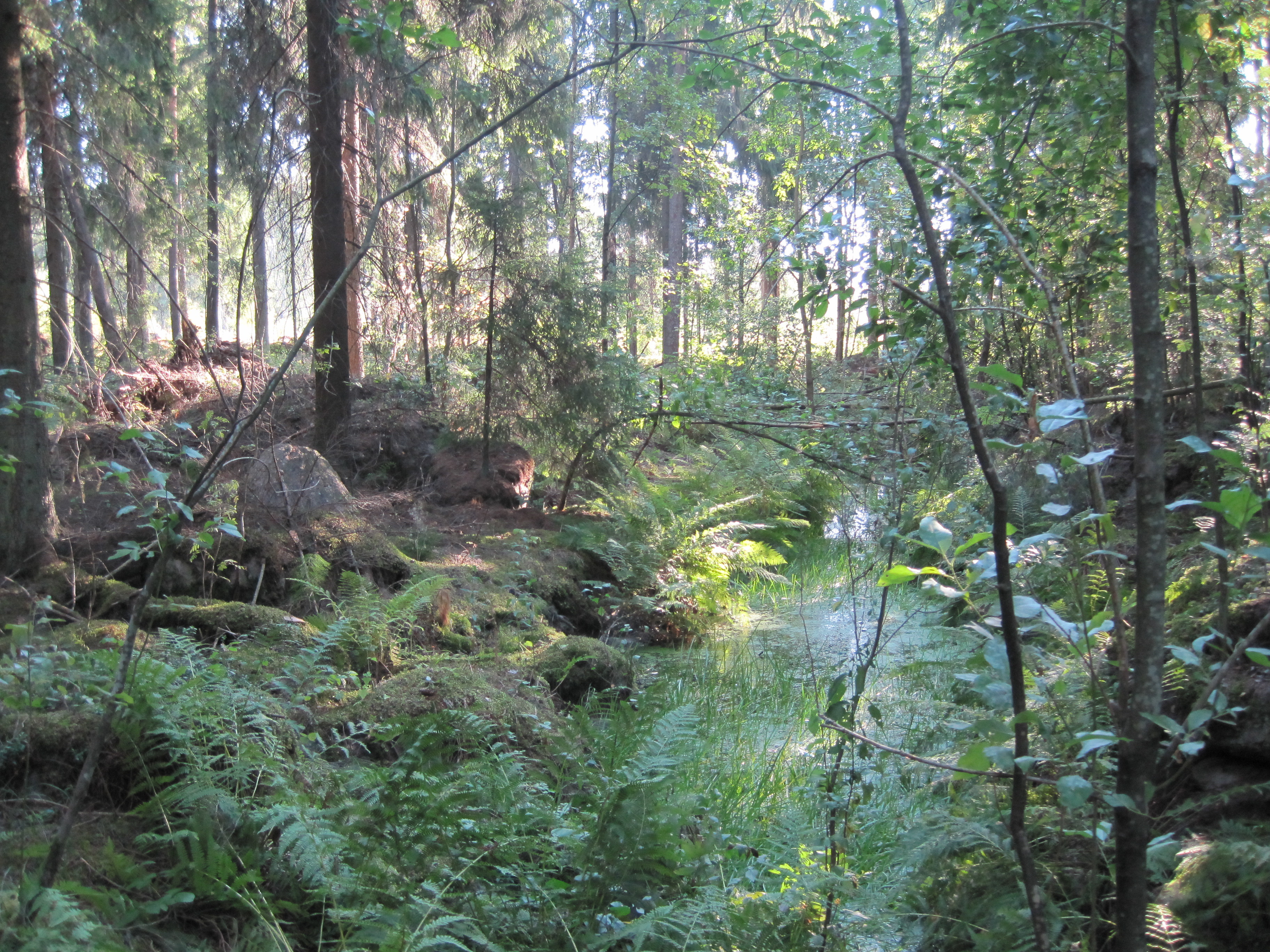 SLC - Skog Liljendal SB