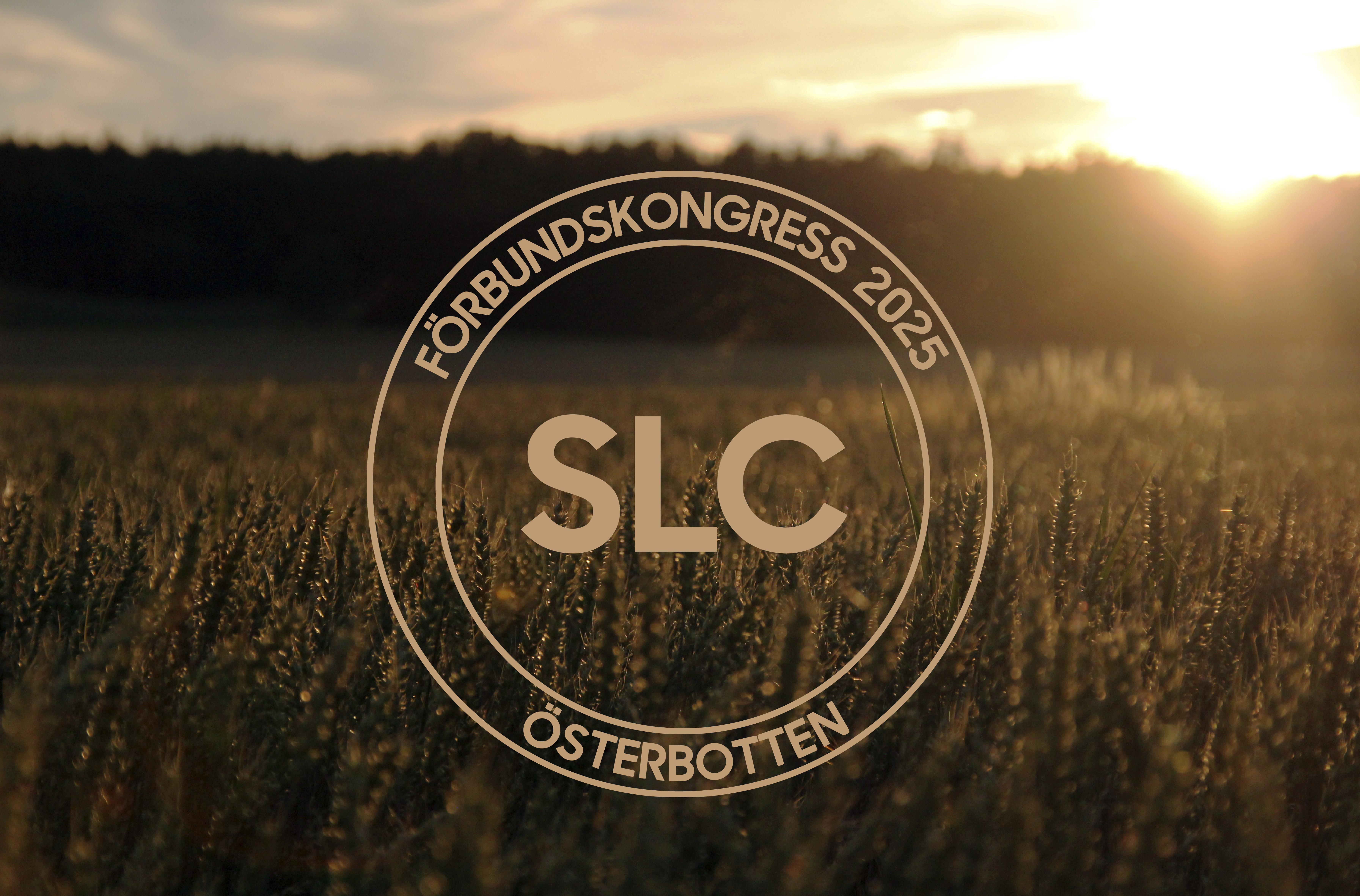 SLC - Webb kongress