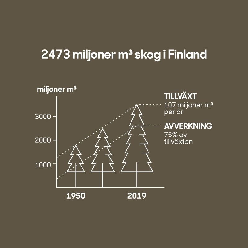 SLC - 4 Mera Skog2