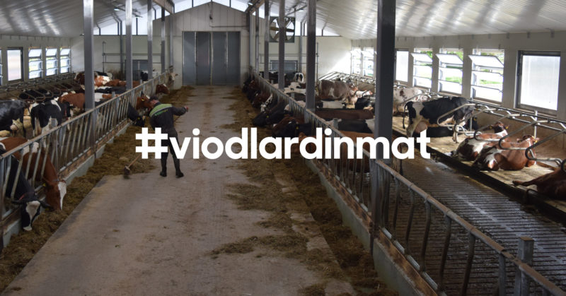 SLC - Viodlardinmat Ladugard Fb