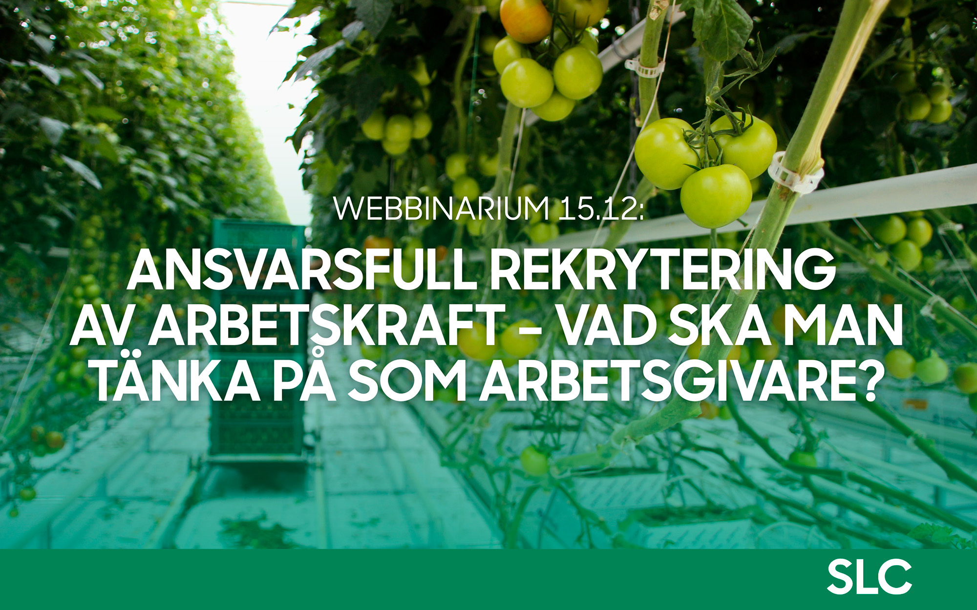 SLC - 20251202 webbinarium ansvarsfull rekrytering webb