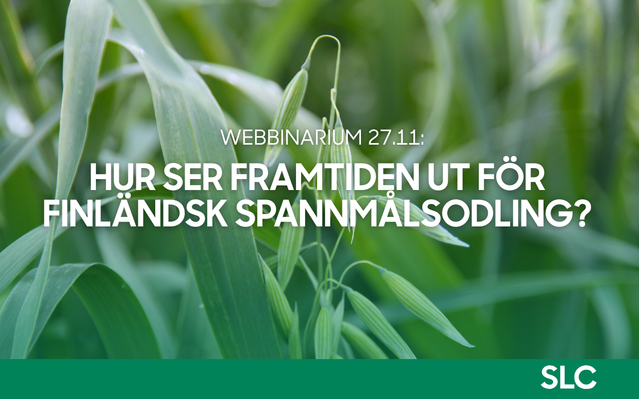 SLC - SPANNMALSWEBBINARIUM 27 11 2025