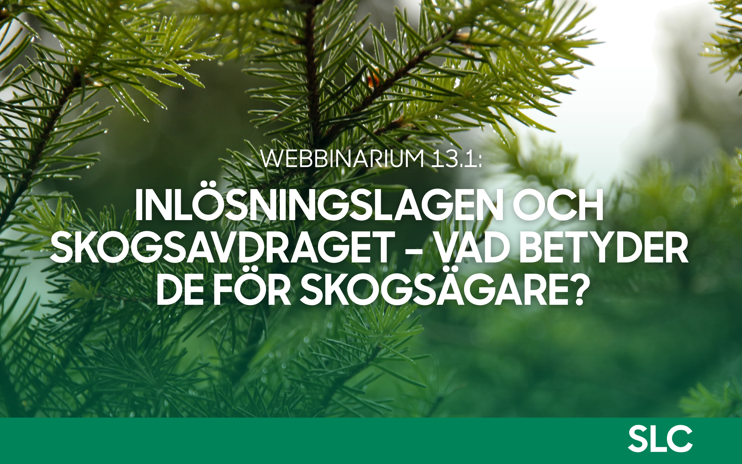 SLC - WEBBINARIUM OM SKOG 20260113