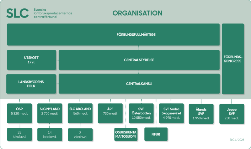 SLC - Organisationsschema 1 2025