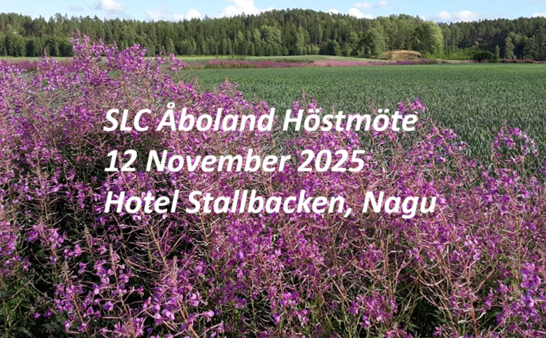 SLC - Bild